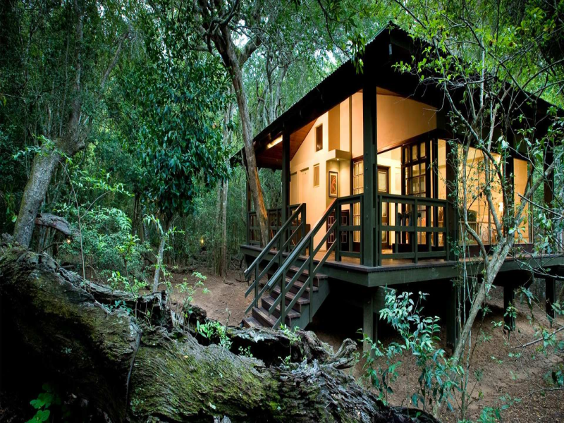 5 Budget-Friendly Eco-Lodges