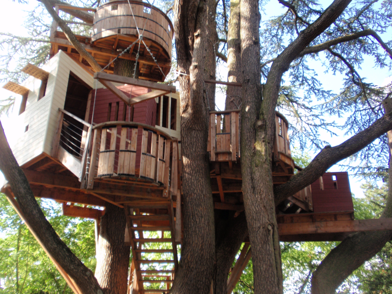 Treehouse Effect