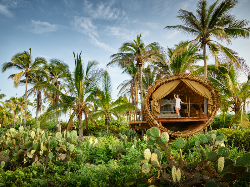 Budget-Friendly Eco-Resorts