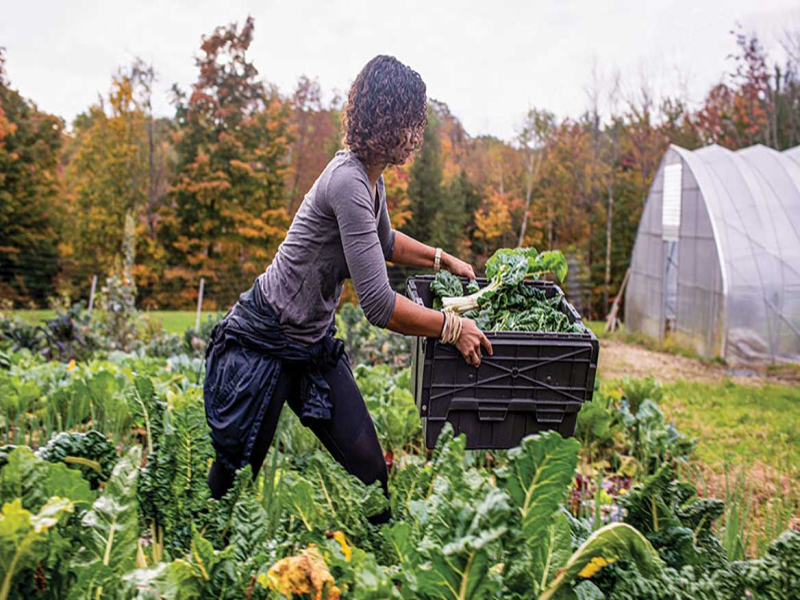 Food Producers and Supporting Local Agriculture