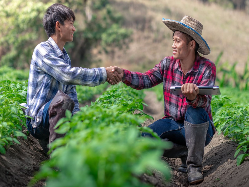 Read more about the article Farm-to-Table Adventures: Connecting with Food Producers and Supporting Local Agriculture