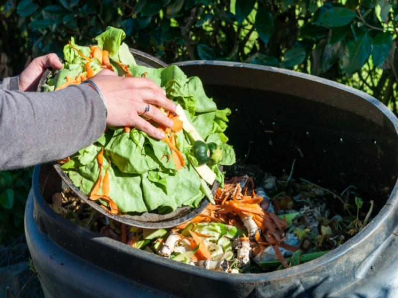 Reducing Food Waste