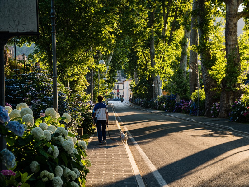 Sustainable Living on the Road